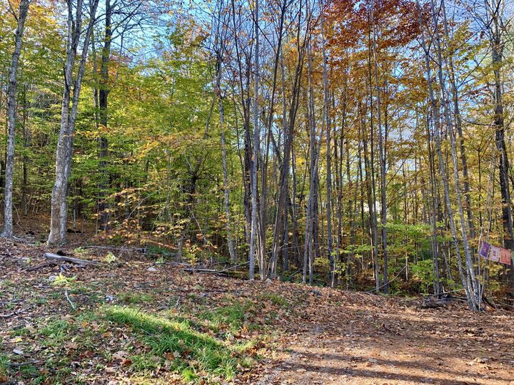 Property Photo:  Lot #7 #16 Bluebird Road  ME 04864 
