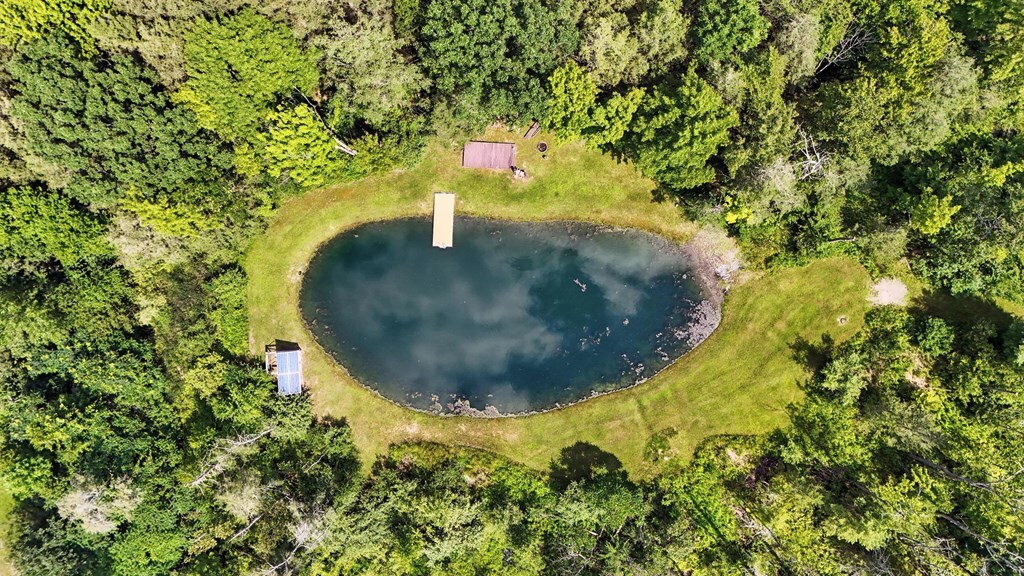 Property Photo:  768 Washburn Rd  NY 14883 
