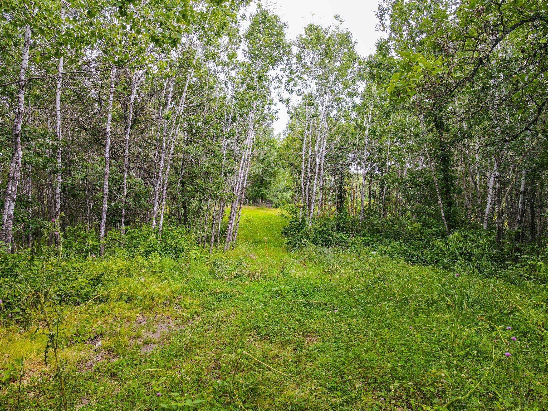 Property Photo: Lot 4 Gasparilla Trail MN 56470