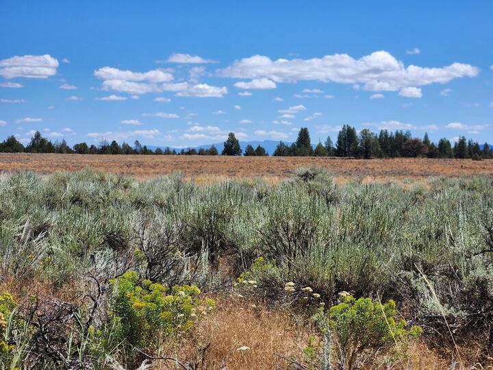 Property Photo:  Oregon Pines Lot 2000  OR 97639 