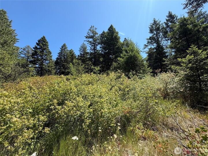 Property Photo: 135 Slippery Hill Lane WA 99166