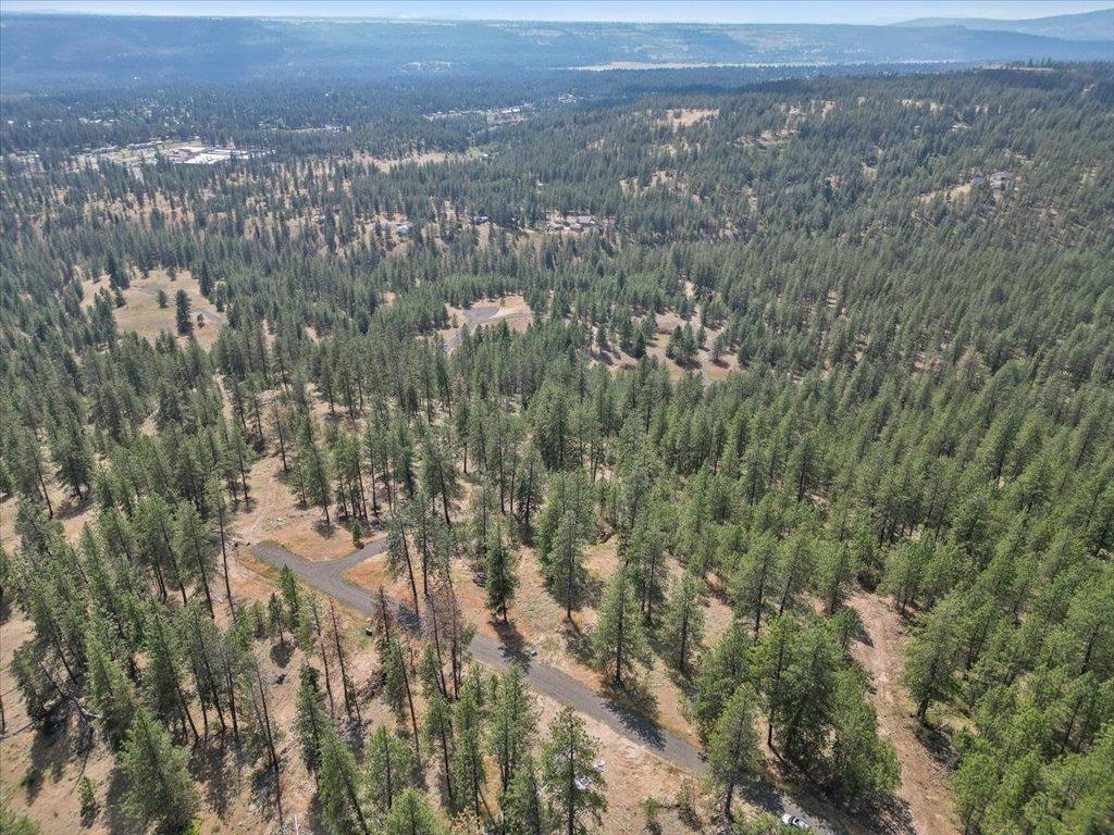 Property Photo: Nka Weaver Way Lot D Of Lot 6 WA 99006