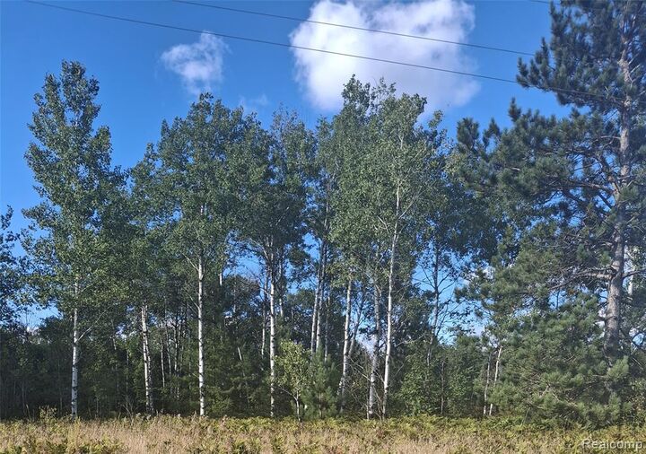 Property Photo: Lot 514 Pencil Lake Road MI 49730