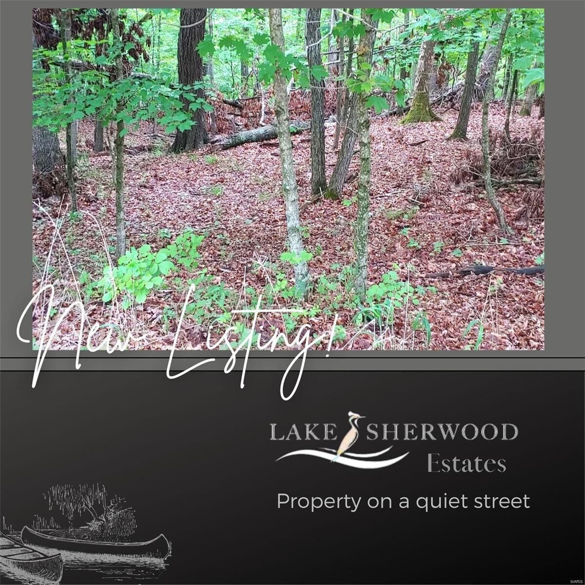 Property Photo: 997 Sword MO 63357