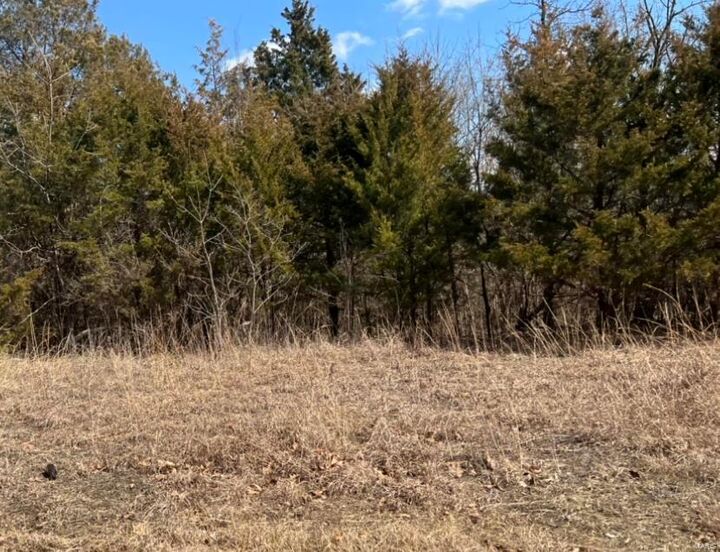 0 Tinhouse Road  Hillsboro MO 63050 photo