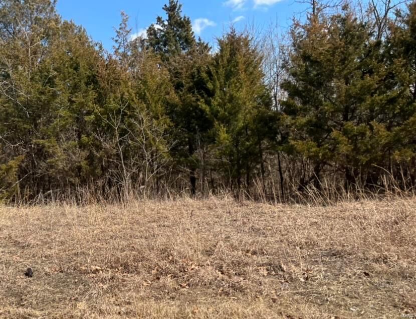 Property Photo:  0 Tinhouse Road  MO 63050 