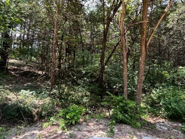 Property Photo: 0 Incline Village (Red Cedar) MO 63348