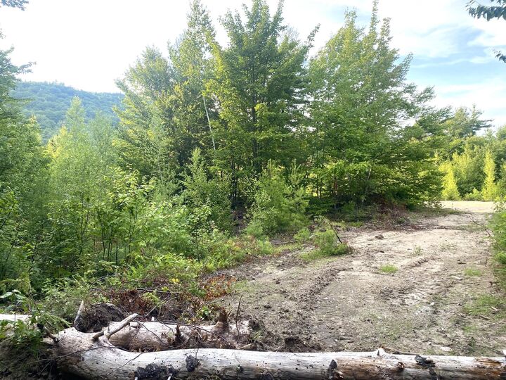 Property Photo: 2,4,6 Willis Bean Road NH 03832