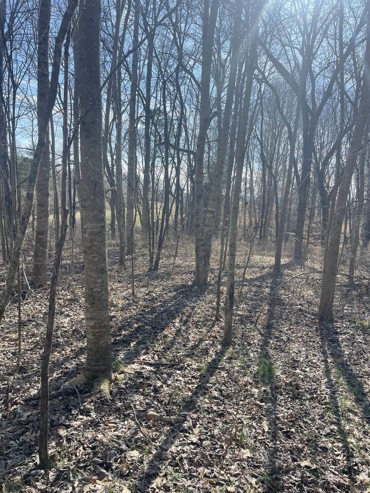 Property Photo:  165 Pleasant Hill Road  TN 37083 