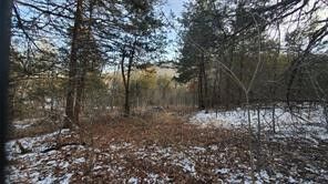 Property Photo:  34 Dove Lane  AR 72631 
