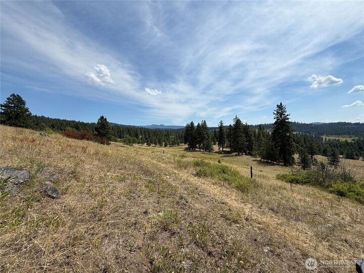 Property Photo: 0 Lot 19 Seth Lane WA 99166