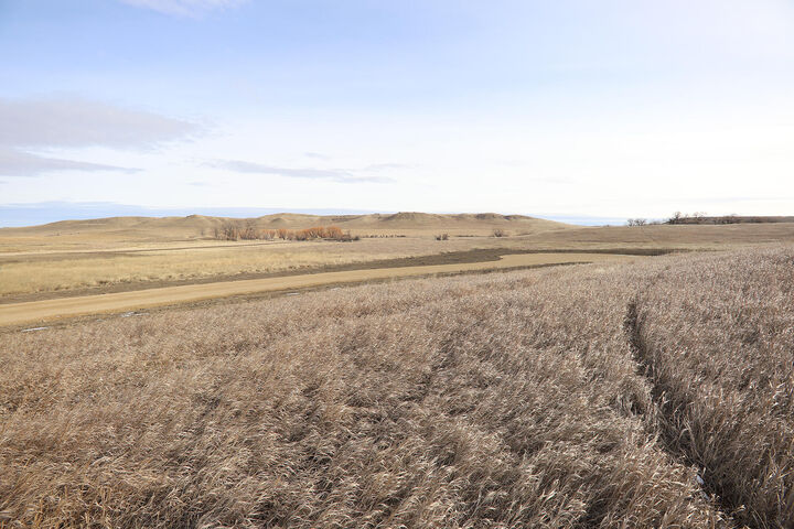 Property Photo:  Tbd McCormick Road Lot 2  WY 82833 