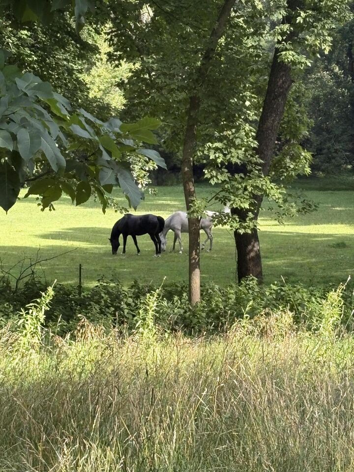 Property Photo: N66w30751 Red Fox Run - WI 53029