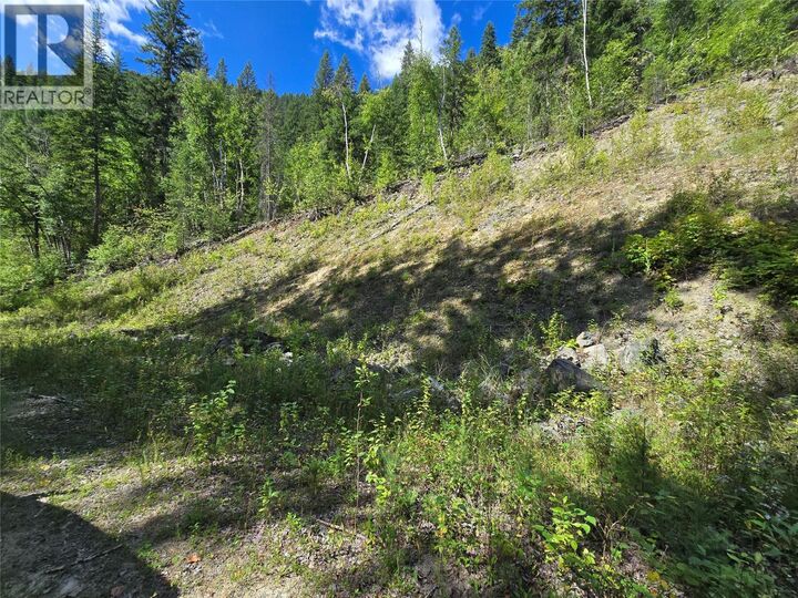 Property Photo:  3418 Roundtop Road  BC V0E 2C0 