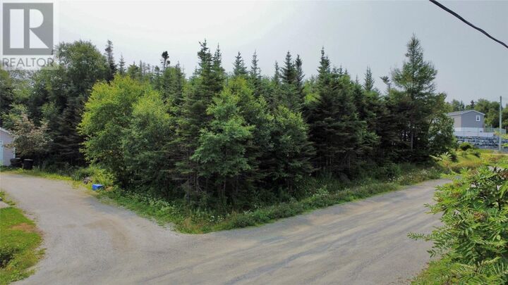 7 Bottom Brook Heights  Rocky Harbour NL A0K 4N0 photo