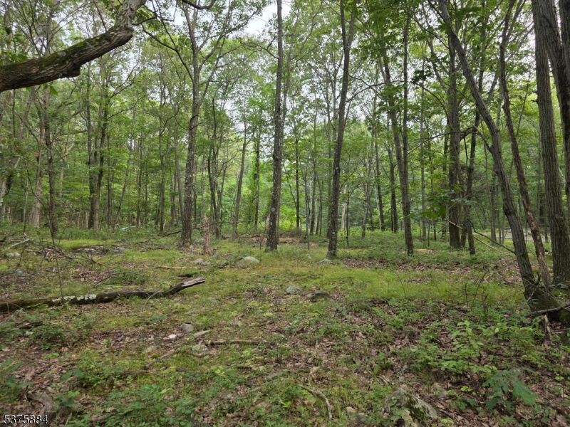 Property Photo:  75 Far View Rd  NJ 07838 