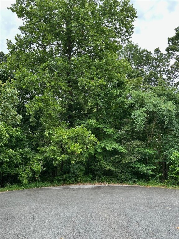 Property Photo:  Lots 3 & 4 Elton Lane  AR 72714 