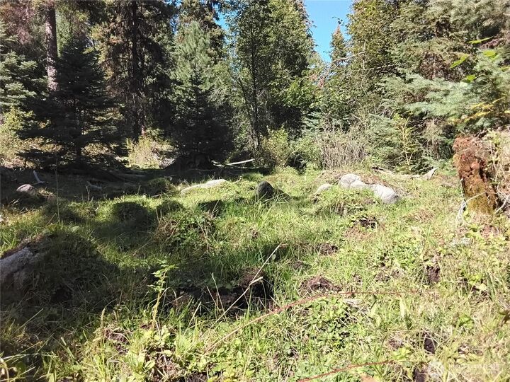 Property Photo: 0 Little Place Road WA 98855