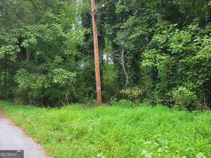 Property Photo: 0 Clemmons Drive GA 30294