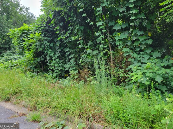 1036 Walnut Creek Lane  Jonesboro GA 30238 photo