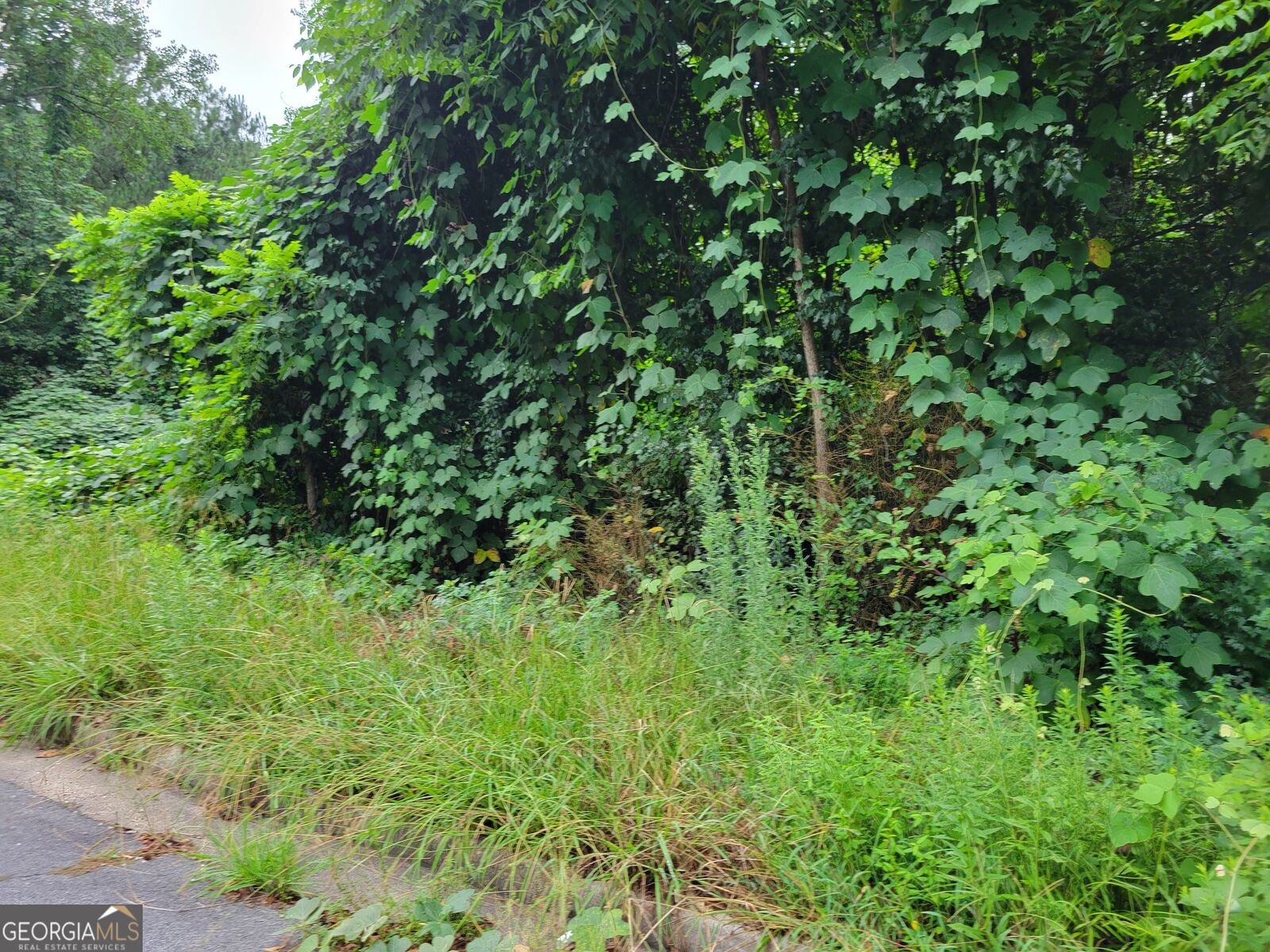 Property Photo: 1036 Walnut Creek Lane GA 30238