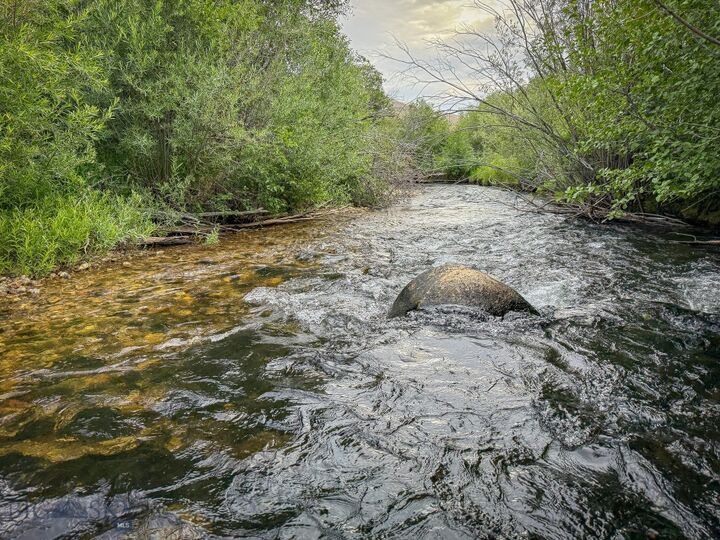 Property Photo: Nhn Lot 44 Mill Creek Highway MT 59711