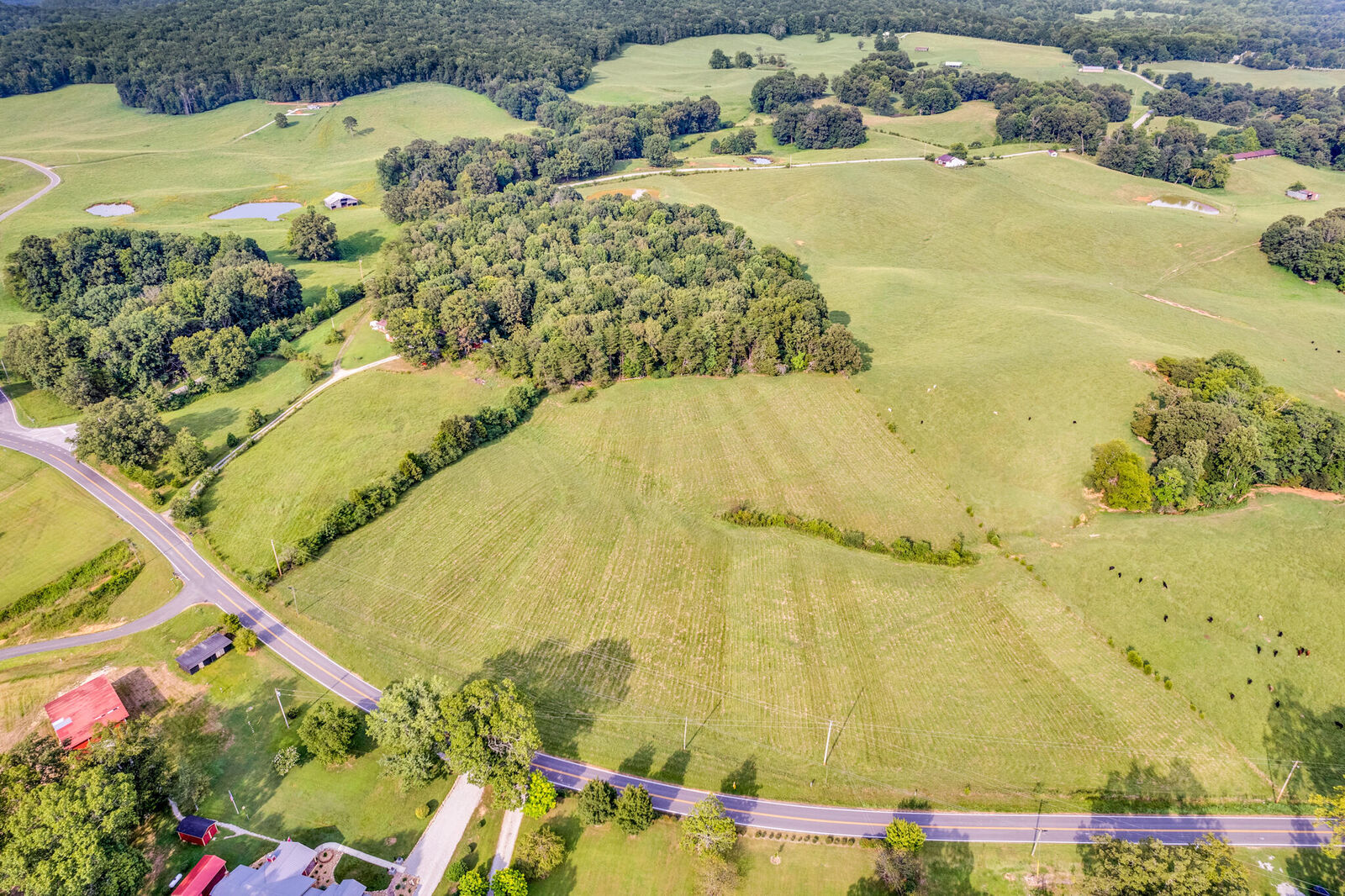 Property Photo:  0 Bone Cave Road  TN 38581 