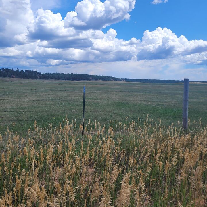 10216 Valley Road  Custer SD 57730 photo