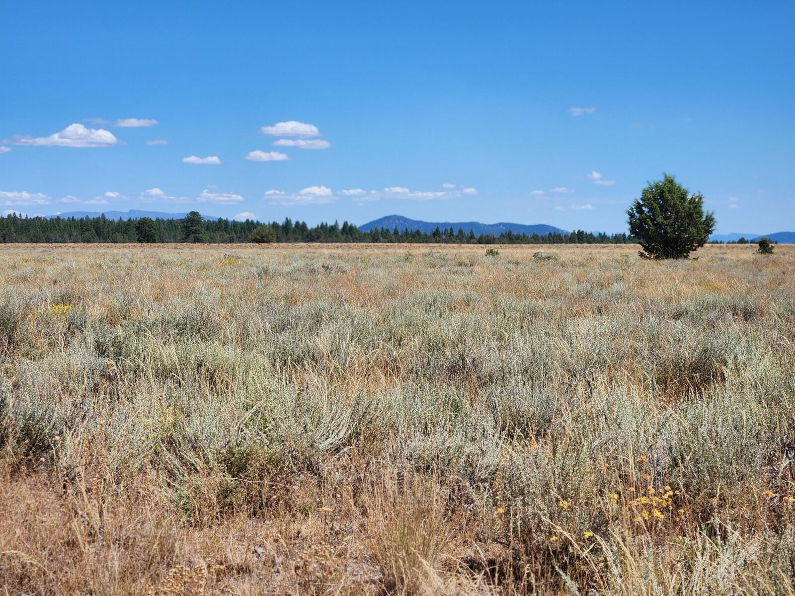 Property Photo:  Tableland Road  OR 97639 