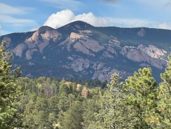 Property Photo:  20461 Wandcrest Drive  CO 80470 
