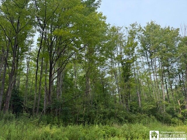 Property Photo: Horton Road NY 14701