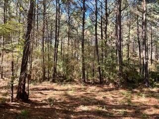 Property Photo: Tract A Big Lake Road LA 71360