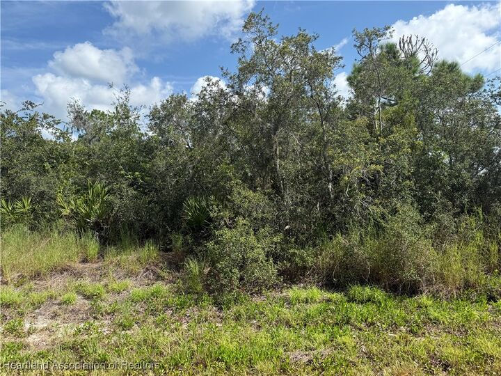 Property Photo:  3101 Holifield Avenue  FL 33852 