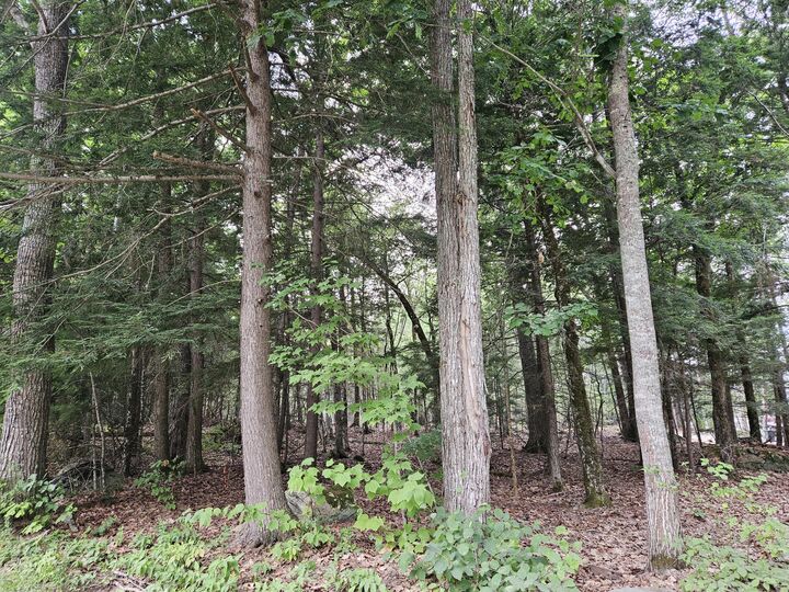 Property Photo:  0 Gould Road  ME 04473 