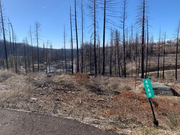 4948 Edgewood Circle  Grizzly Flats CA 95636 photo