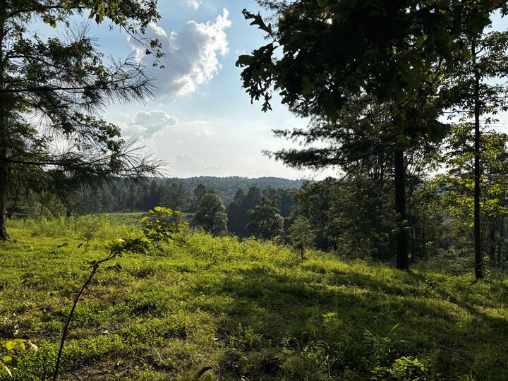 Property Photo: Lot 7 &Amp 9 Victory Falls Development KY 41301