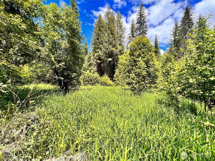 Property Photo: 0 Lambert Creek Road WA 99166