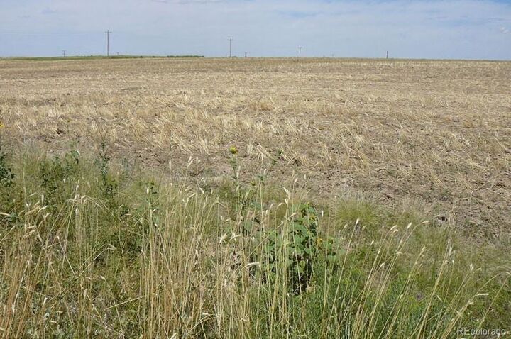 Property Photo:  217 Price Road  CO 80105 