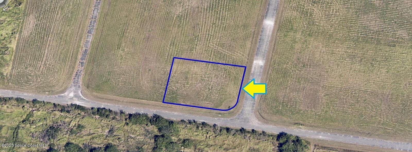 Property Photo:  2596 Adonis Avenue SW  FL 32908 