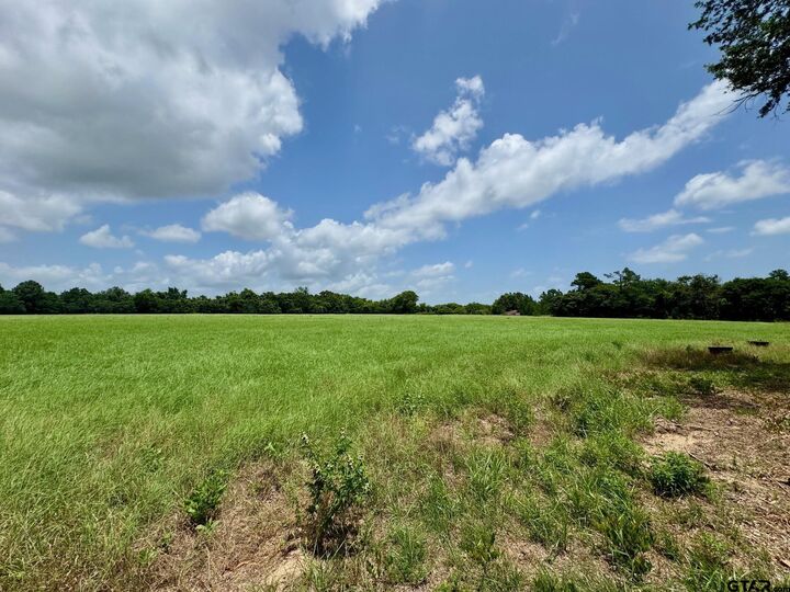 Property Photo:  Tbd Cr 3040  TX 75440 