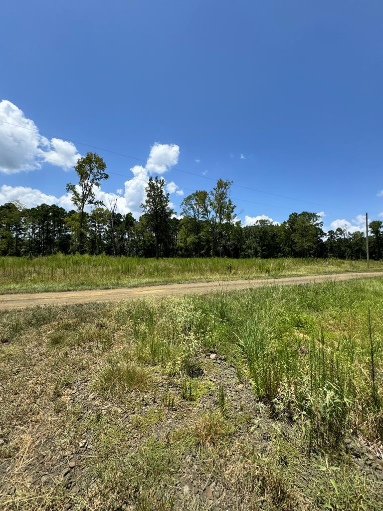 Property Photo:  R28429 (Lot 11) Private Road 7700  TX 75972 