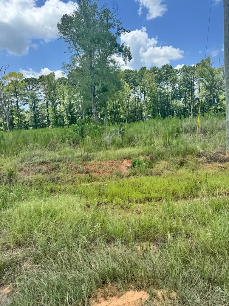Property Photo:  R28429(Lot12) Private Road 7700  TX 75972 
