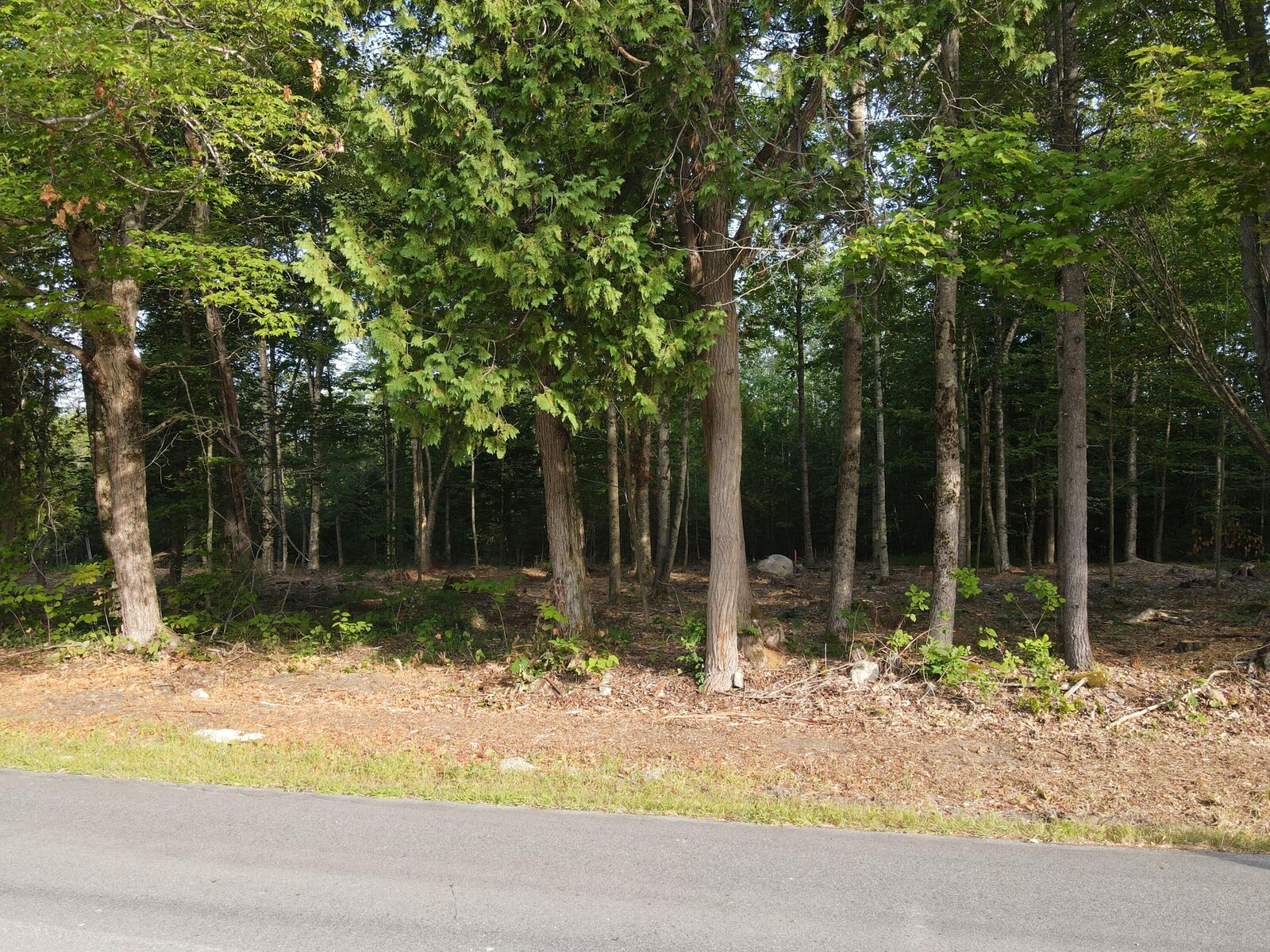 Property Photo: Lot 3 Oak Pond Road ME 04967