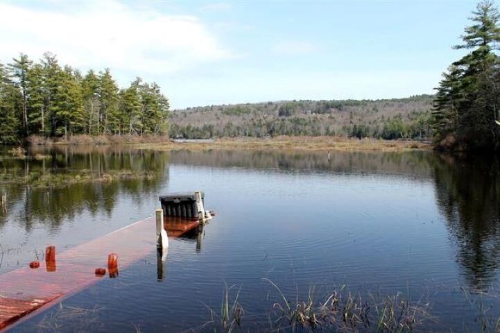 Property Photo:  1115 Pleasant Pond Road  NH 03043 
