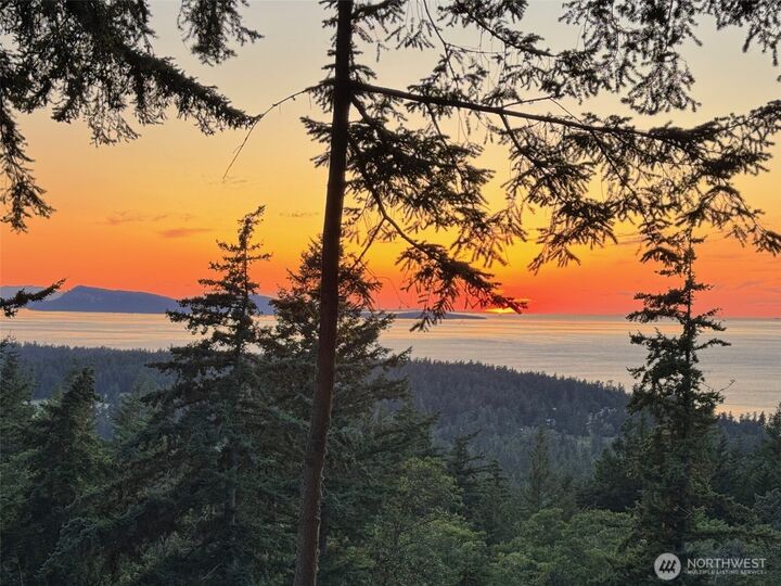 540  Wright Road  Orcas Island WA 98245 photo