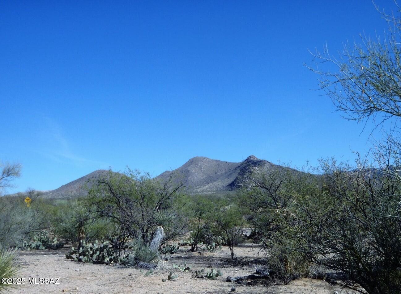 Property Photo:  14xxx W Diamond Bell Rd Place 412  AZ 85736 
