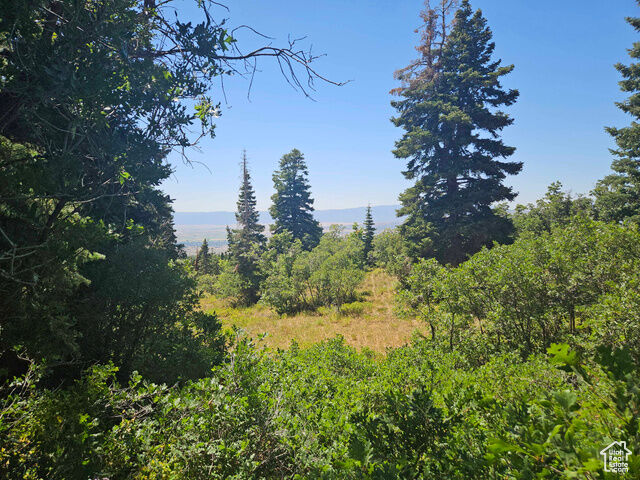 1002 E North Fork Rd S 1002  Fairview UT 84629 photo