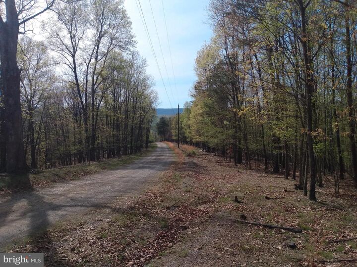 Lot 84 Roundtop Lane  Berkeley Springs WV 25411 photo