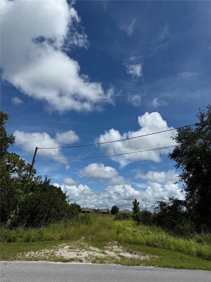 Property Photo:  5771 Leon Tyson Road  FL 34771 