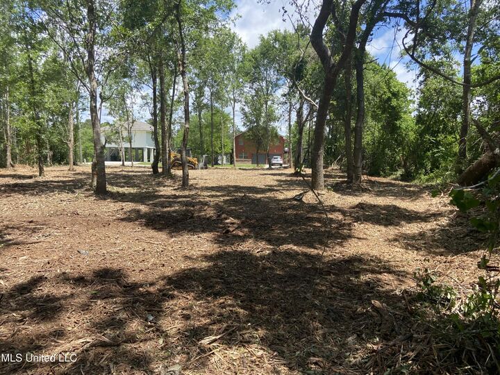 Property Photo:  Tahiti Road  MS 39572 